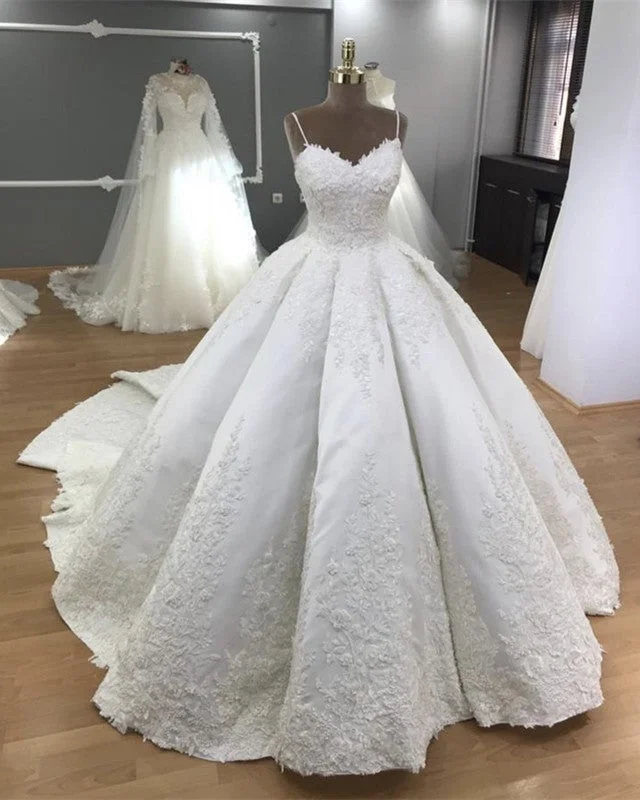 Elegant Wedding Dress Lace Embroidery V Neck Ball Gown Chic Wedding Gown